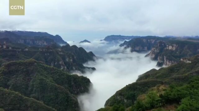 王莽岭景区又上央视了!!!