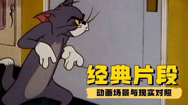 猫和老鼠:猫和老鼠里那些社死的名场面,简直让人欲罢不能