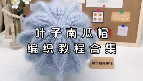 雅馨绣坊-秀丝雅叶子南瓜帽编织教程合集