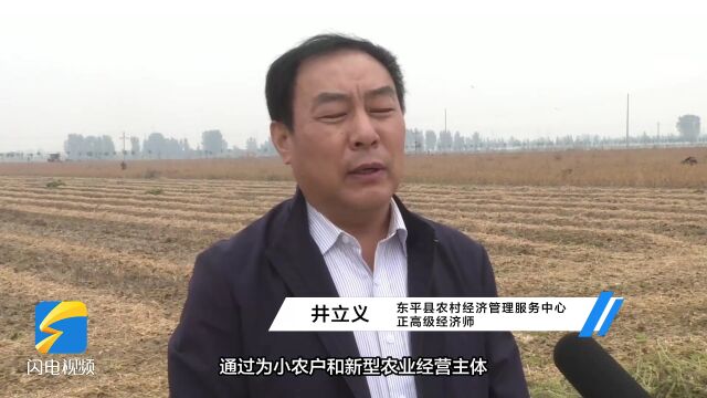 东平县:农业生产托管服务让农民当上“甩手掌柜”