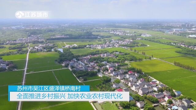 苏州市吴江区盛泽镇桥南村—全面推进乡村振兴,加快农村现代化