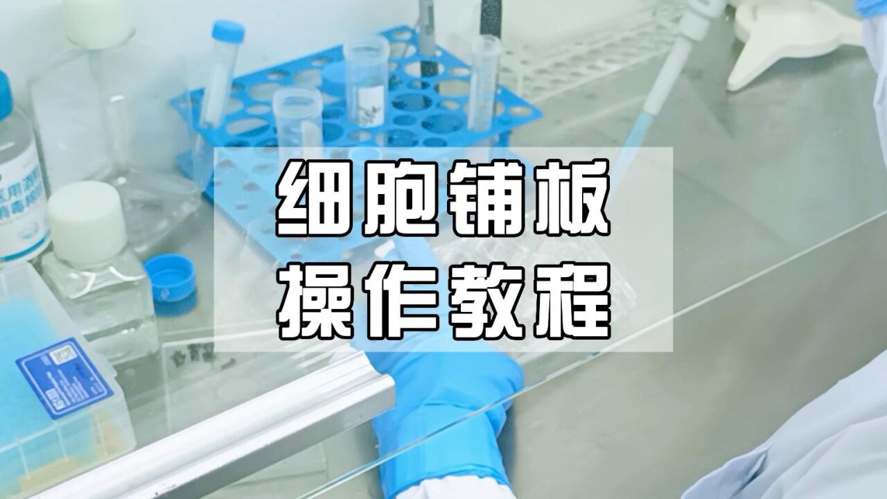 细胞铺板怎么做?沉浸式细胞实验,力显培训小课堂分享,欢迎各位老师指导#实验室设备#实验室日常#沉浸式实验_高清1080P在线观看平台_腾讯视频