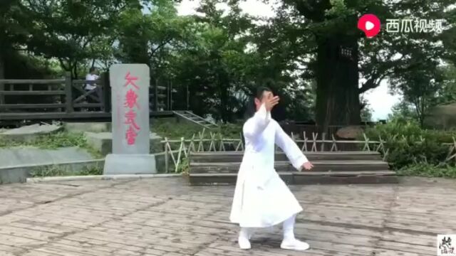 练10年以上太极,才能打出这种韵味!武当太极十三式完整动作!