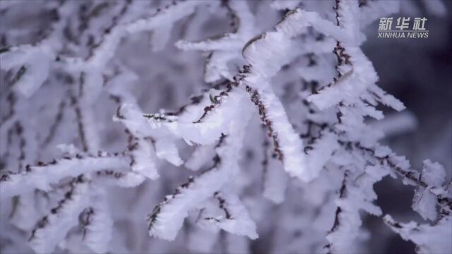 瞰中国|内蒙古呼和浩特:和林格尔的初雪