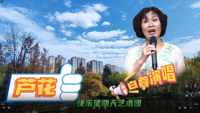 《芦花》白蓉演唱的清脆明亮细腻甜美ⷥ˜𙥒‹咧!