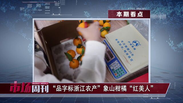 节目预告 | “品字标浙江农产”象山柑橘“红美人”