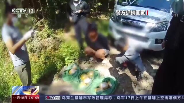 央视新闻:汪汪队又立大功,警犬协助警方缴毒超23公斤