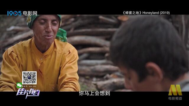 《蜂蜜之地》让司徒兆敦老师感动的情节