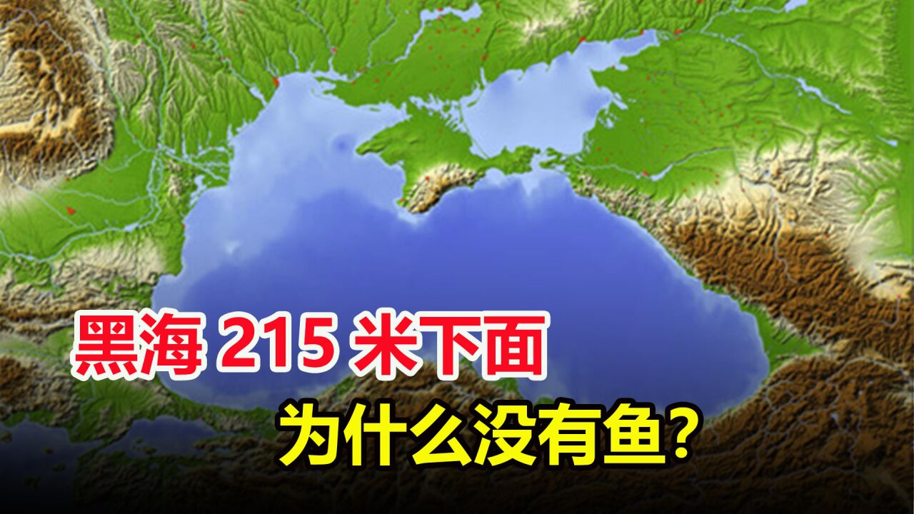 黑海有多可怕?為什麼215米以下,沒有魚類生存?