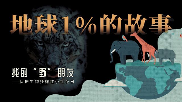 地球1%的故事,当地球物种已经消失了99%,我们该如何维护全球生命共同体?