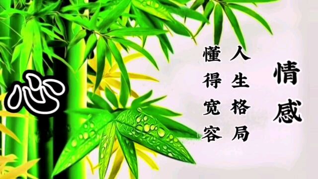 戳心情感语录:人生格局,懂得宽容