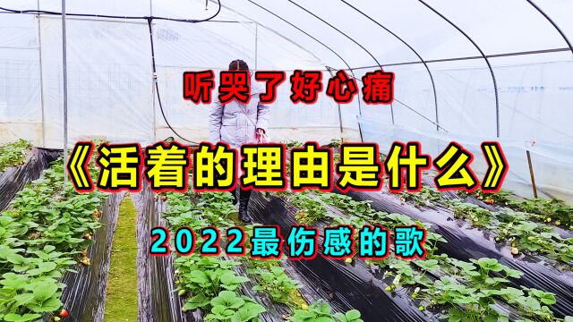 新歌推荐!《活着的理由是什么》2022最伤感的歌,催人泪下听哭了