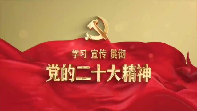 八亿橡胶公司学习宣传贯彻党的二十大精神