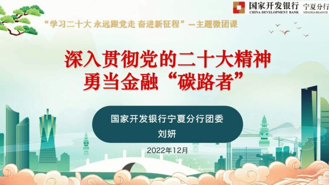 深入贯彻党的二十大精神,勇当金融“碳路者”国开行宁夏分行