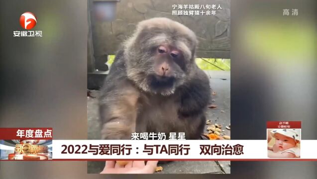 2022与爱同行:与TA同行,双向治愈