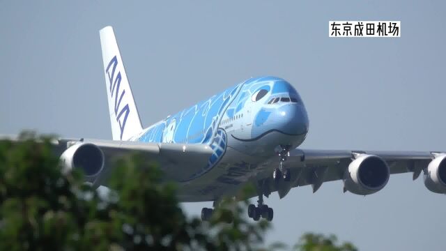 东京成田国际机场的飞机起降,观测点拍摄 [NRTRJAA] 成田空港4K