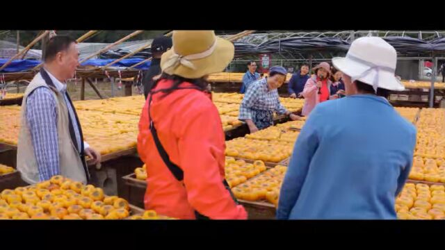 中老年题材微电影旅游片《乡恋》