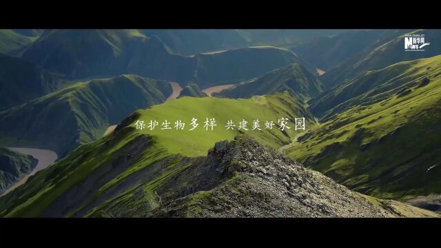 生物多样性|与自然共生