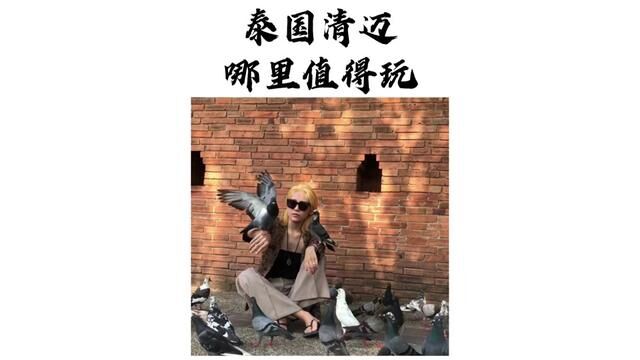 哪个季节来清迈玩才是舒服的 推荐几个必去的地方~ 清迈是个小城一定要慢慢逛#泰国旅游 #清迈 #海外生活 #总要去一次泰国吧