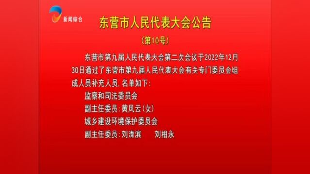 东营市人民代表大会公告(第10号)