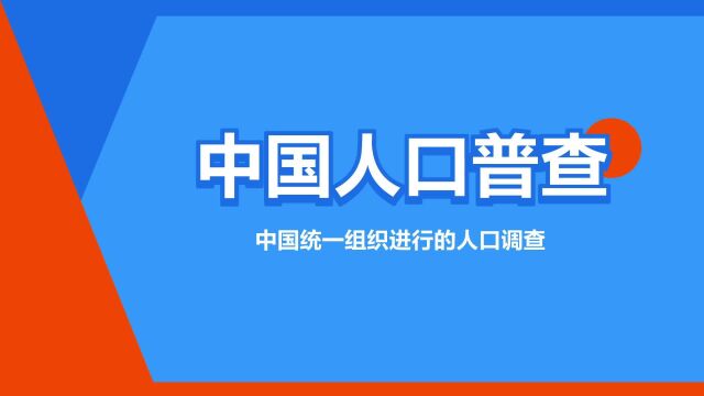 “中国人口普查”是什么意思?