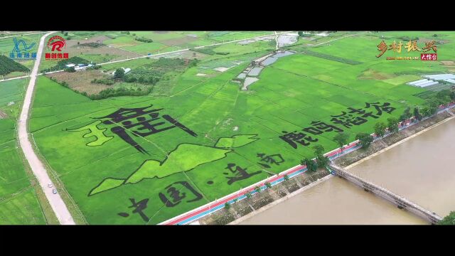 彩莹带你看连南乡村振兴(五)