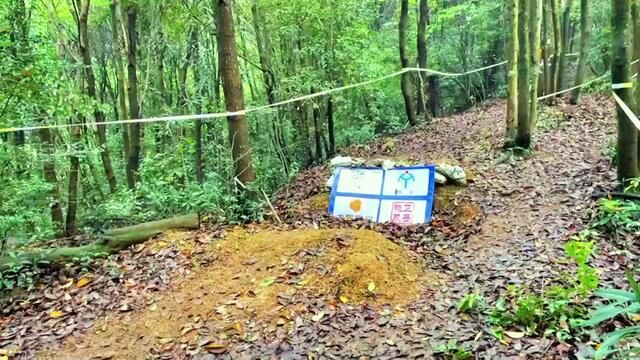 第五届绍兴(上虞)祝家庄国际单车山地速降赛精彩瞬间#总有理由爱上绍兴上虞 #是时候展现真正的技术了 #爱上上虞的100个理由