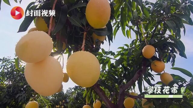 新成昆铁路全线贯通运营 坐着动车游安逸四川