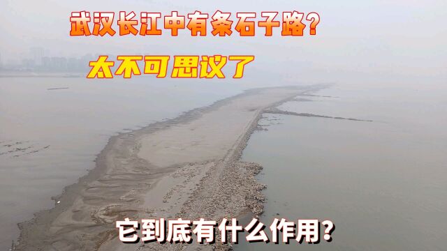 武汉长江水位下降十几米,江心出现一条石子路!路过大爷道出玄机