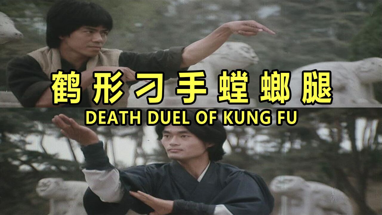 【原创】港台功夫片(影视解说)_鹤形刁手螳螂腿(南拳北腿)_高清1080P在线观看平台_腾讯视频