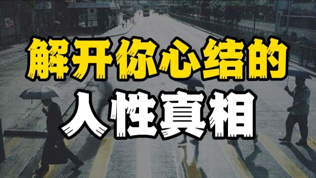 解开你心结的人性真相!现实中活学活用,你也将变得更加通透!