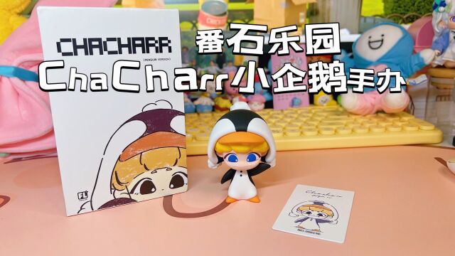 番石乐园CHACHARR小企鹅手办开箱