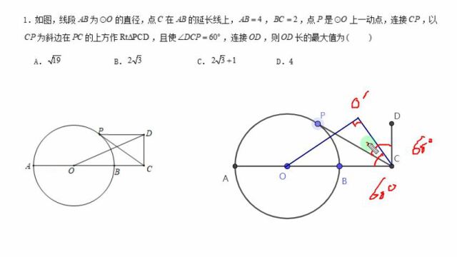 相似类瓜豆1