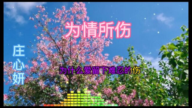 庄心妍《为情所伤》