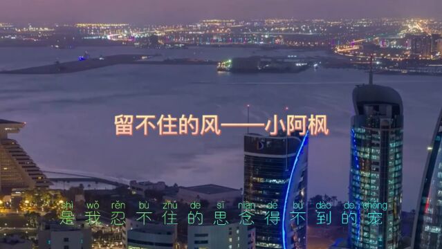 留不住的风——小阿枫