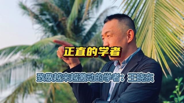 正直的学者 民族风的代表 王晓东先生为何越来越激动 #洲观点 #王晓东 #媒体人 #价值观 #讨论