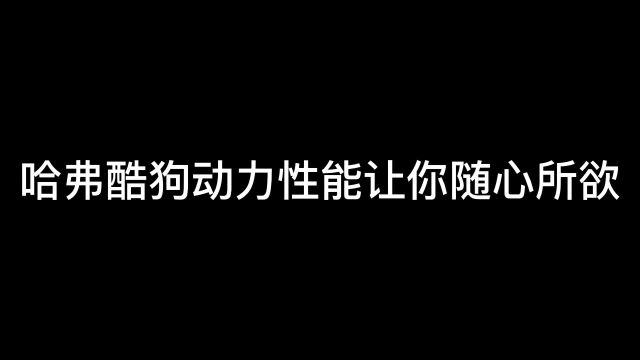 哈弗酷狗和年轻人玩在一起,持续释放活力