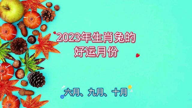 2023年生肖兔的好运月份