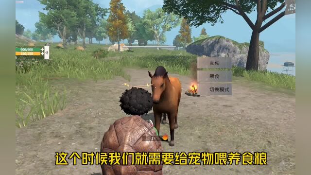 宠物如何骑乘