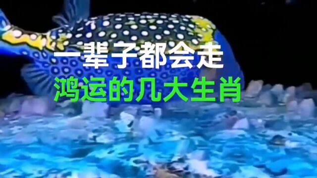 一辈子走鸿运的几大生肖,看看有你和你的家人吗