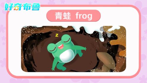 第09集小青蛙呱呱呱_第09集小青蛙呱呱呱_少儿_动画片大全_腾讯视频
