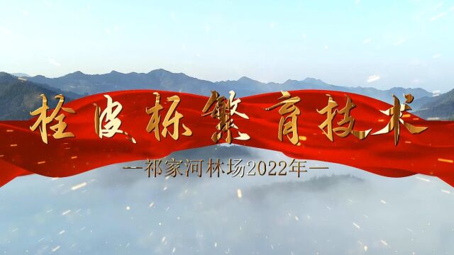 【视频】栓皮栎繁育技术山西省中条山国有林管理局祁家河林场