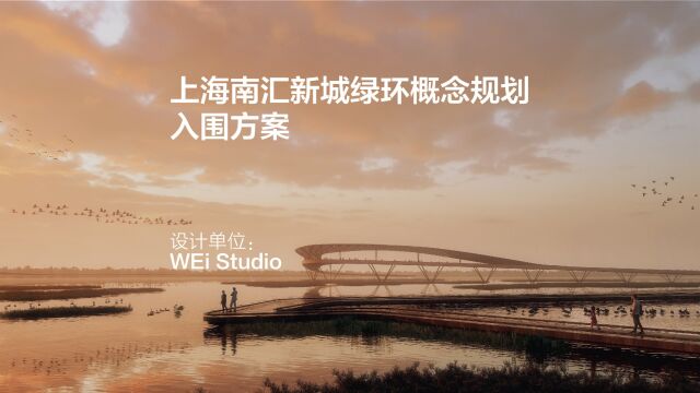 上海南汇新城绿环概念规划 | WEi Studio