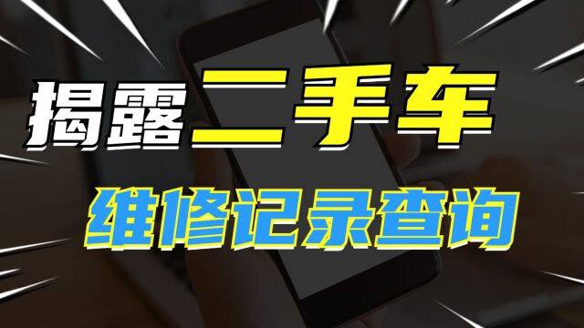 输入车牌号查车辆事故记录,如何通过车牌号查询保险信息