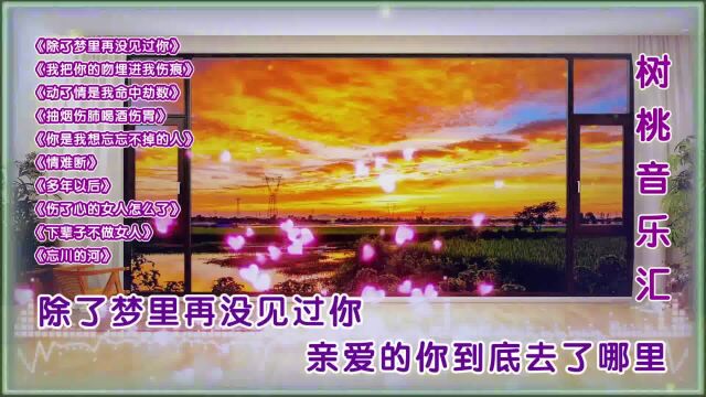 撕心裂肺十首伤感催泪情歌《除了梦里再没见过你》《情难断》