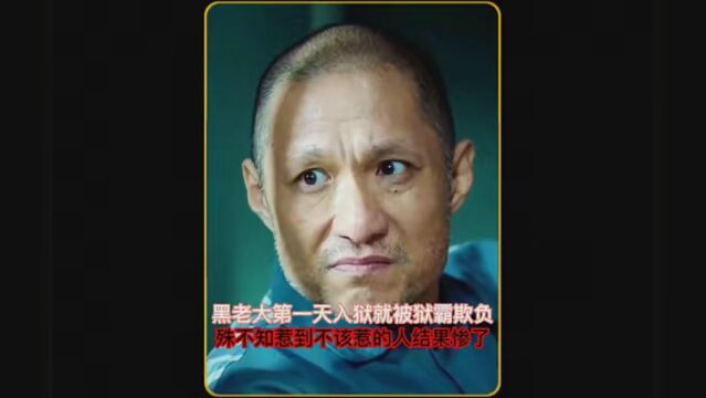 #巡回检察组TV版 #年味观影指南