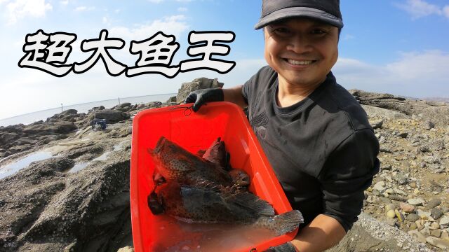 3个猪头5只鸭子投600平巨无霸坑,引来鱼货乱窜,还抓到超大鱼王