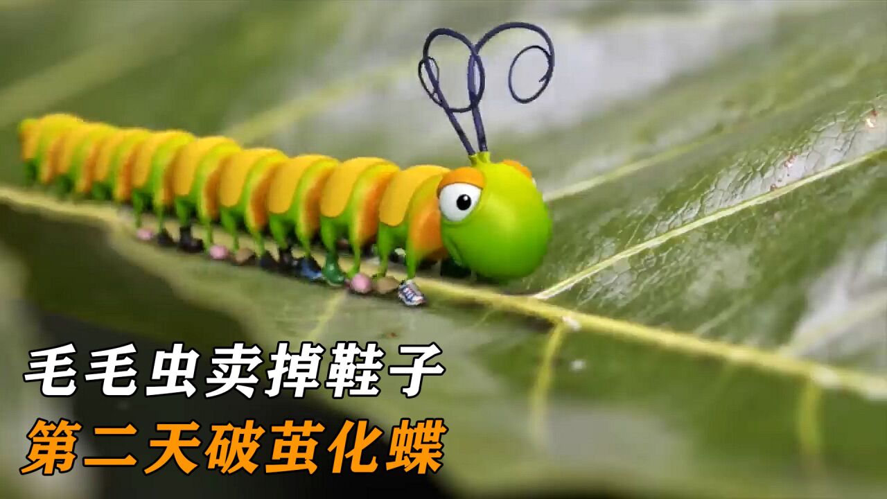毛毛虫卖完自己的鞋子,第二天破茧化蝶