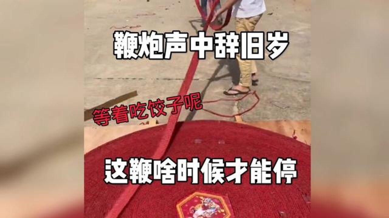 先放鞭，还是先吃饺子#搞笑配音#放鞭炮#炮仗#鞭炮#过年放炮#花式放炮_高清1080P在线观看平台_腾讯视频