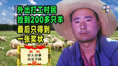 出门挣钱的人：打工村民捡到200多只羊 最后只得到一张奖状
